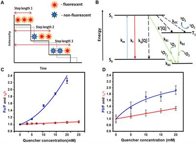 Single Molecule Measurements of the Accessibility of Molecular Surfaces